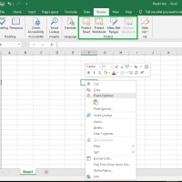 Review tab Excel