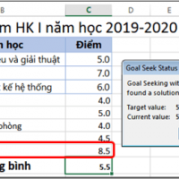 goalseek6