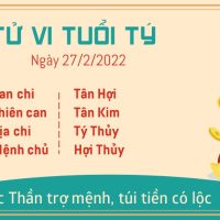 tu-vi-ngay-27-2-2022-tuoi-ty