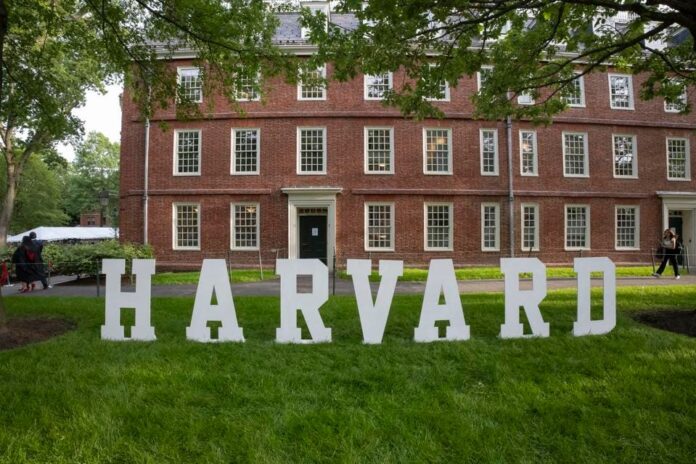 3 lý do vì sao các trường cao đẳng cộng đồng thực tiễn có thể vượt mặt Harvard trong việc tạo ra các doanh nghiệp kỳ lân